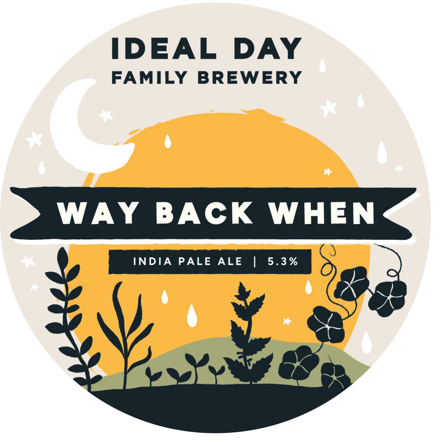 Way Back When - IPA, 5.3%