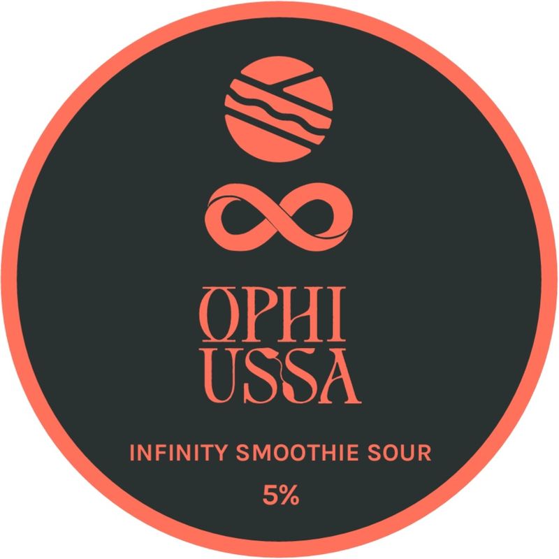 Infinity Smoothie Sour - Smoothie Sour, 5%
