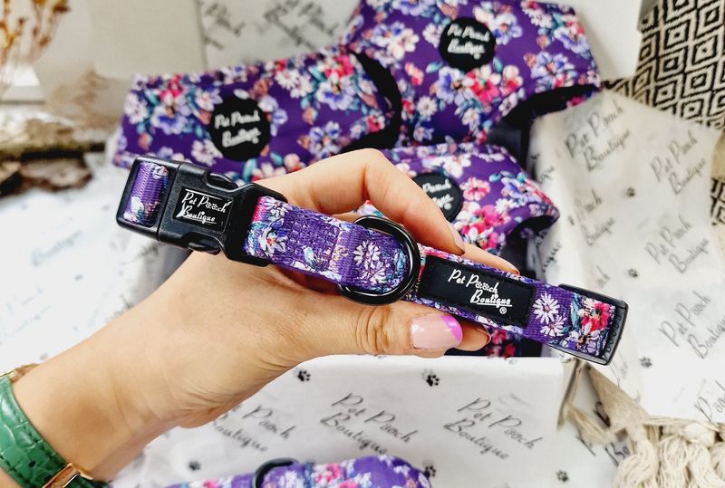 Pet Pooch Boutique Purple Country Cowgirl Dog Collar: Small & Medium