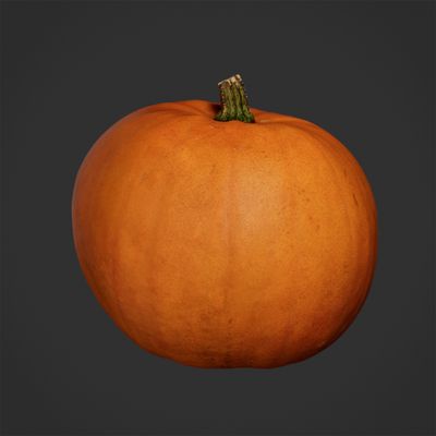 Pumpkin 04