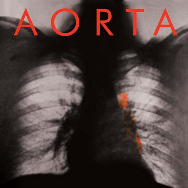 Aorta - S/T