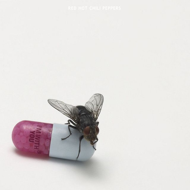 Red Hot Chili Peppers - I&#39;m With You