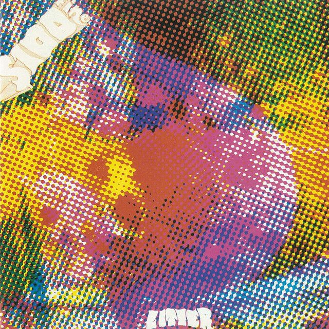 The Litter - $100 Fine