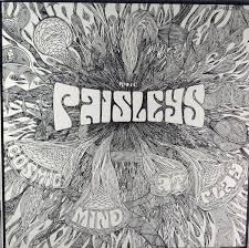 The Paisleys - Cosmic Mind At Play