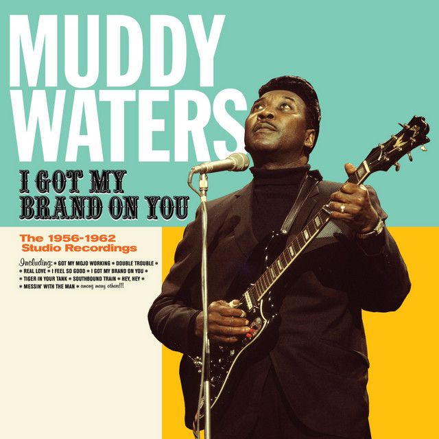 Muddy Waters - I Got My Brand On You