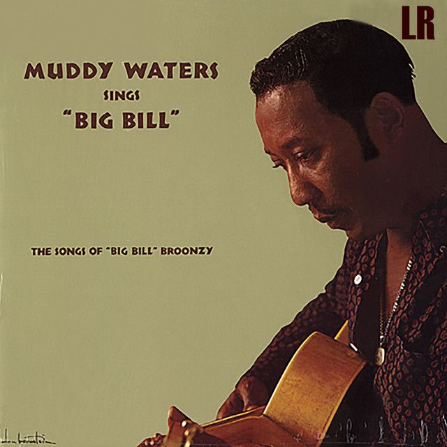 Muddy Waters - Sings &quot;Big Bill&quot;  Broonzy