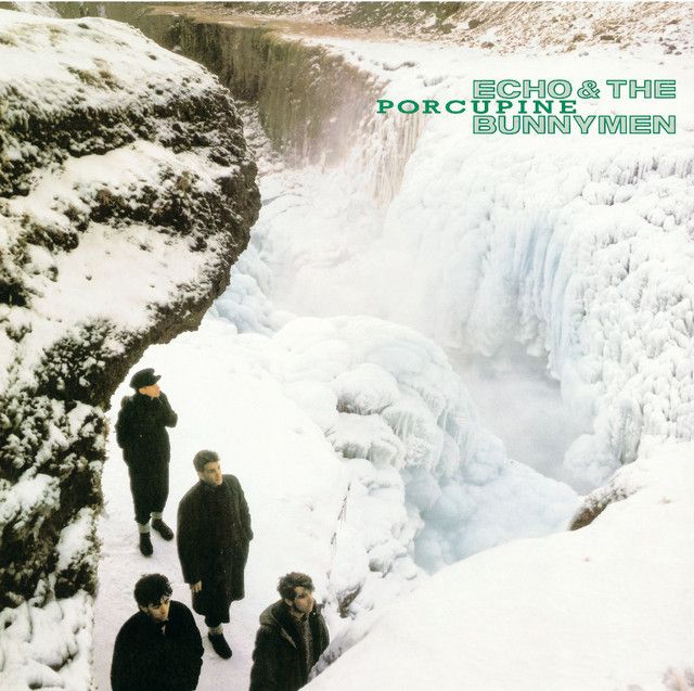 Echo &amp; The Bunnymen - Porcupine