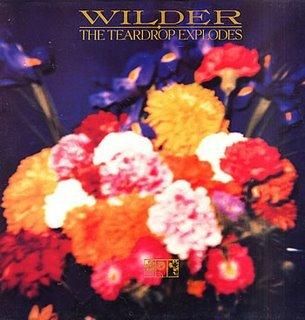 The Teardrop Explodes - Wilder.