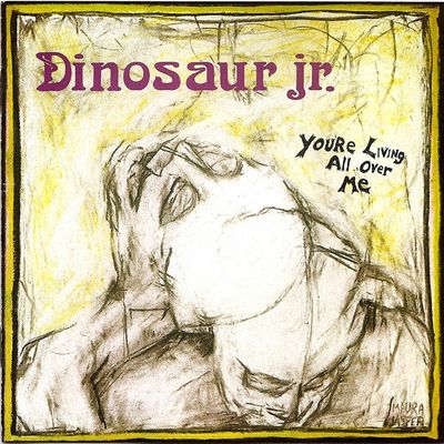 Dinosaur Jr. - You&#39;re Living All Over Me