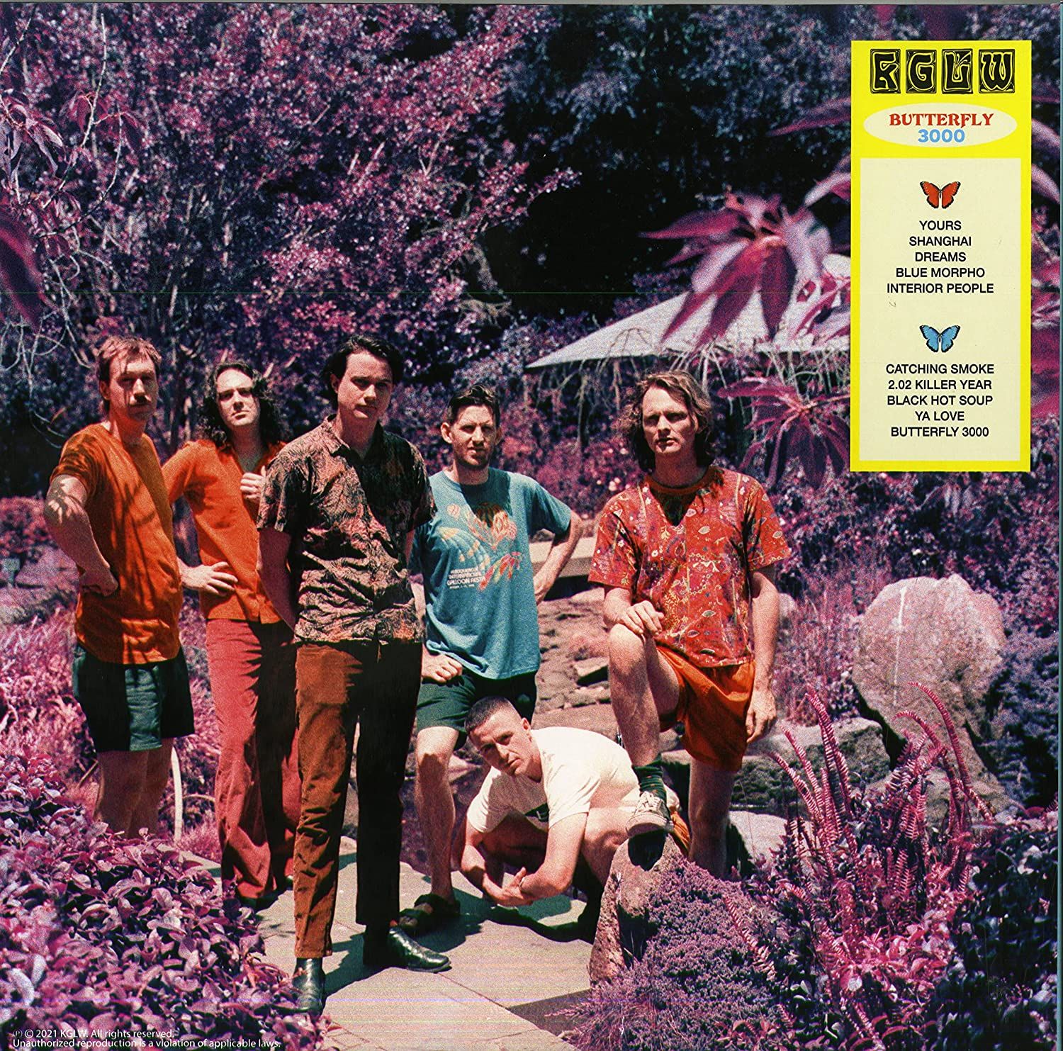 King Gizzard &amp; The Lizard Wizards - Butterfly 3000