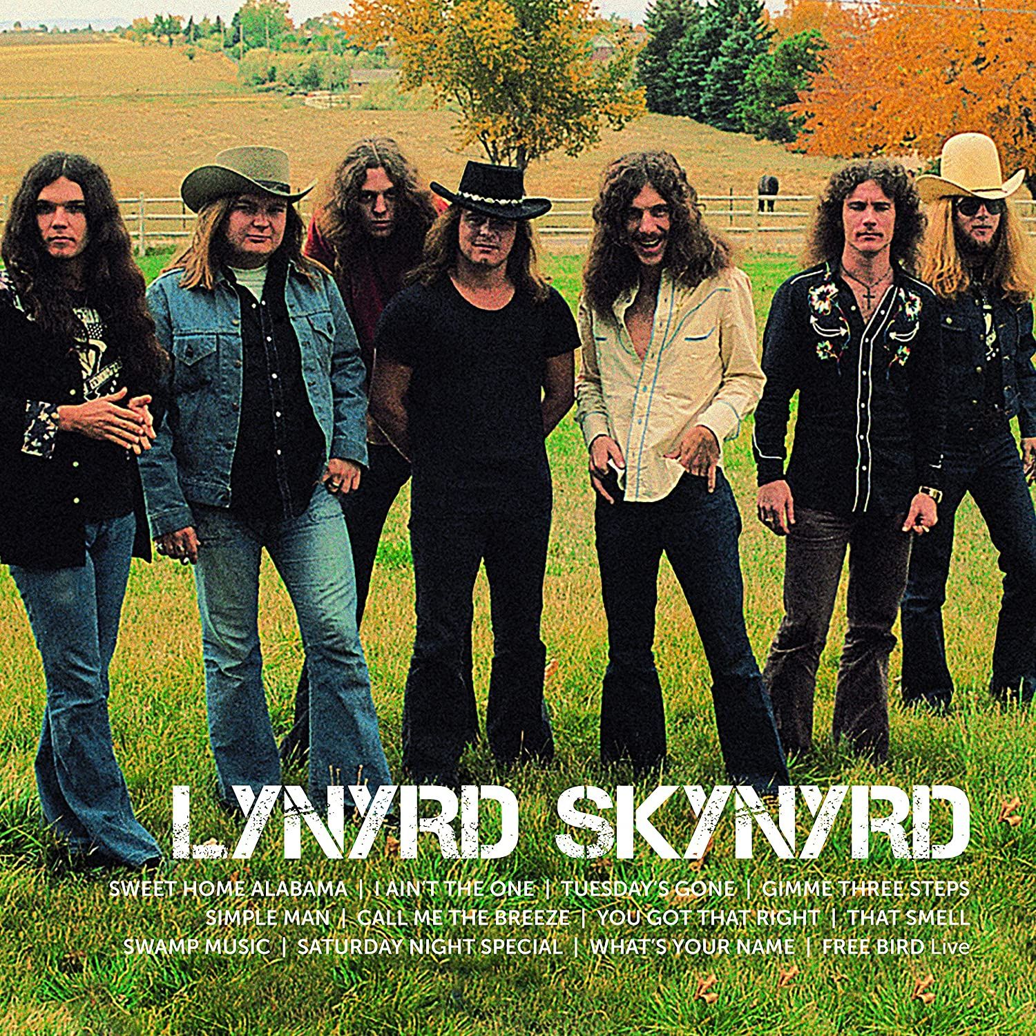 Lynyrd Skynyrd - Icon 2LP