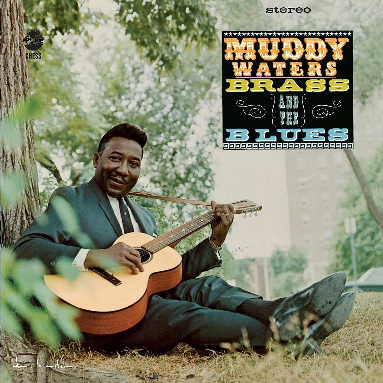 Muddy Waters - Brass and the Blues