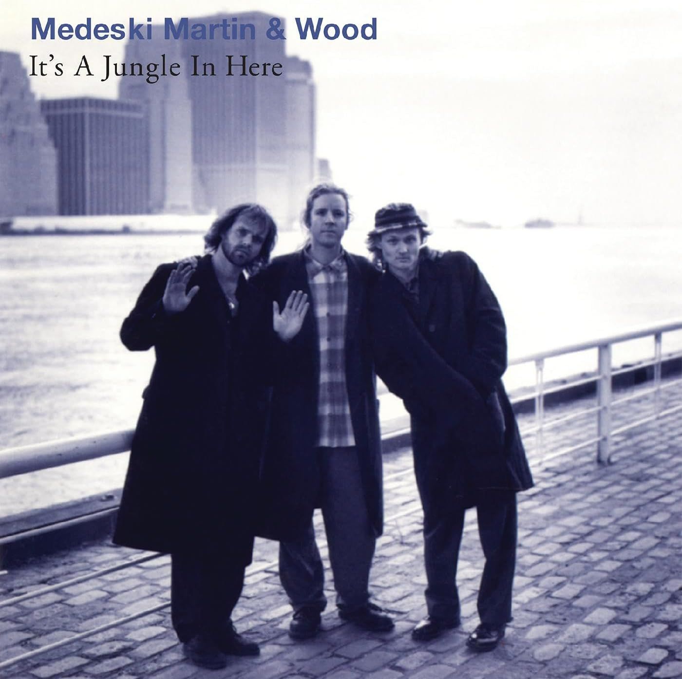 Medeski Martin &amp; Wood - It&#39;s a Jungle In Here
