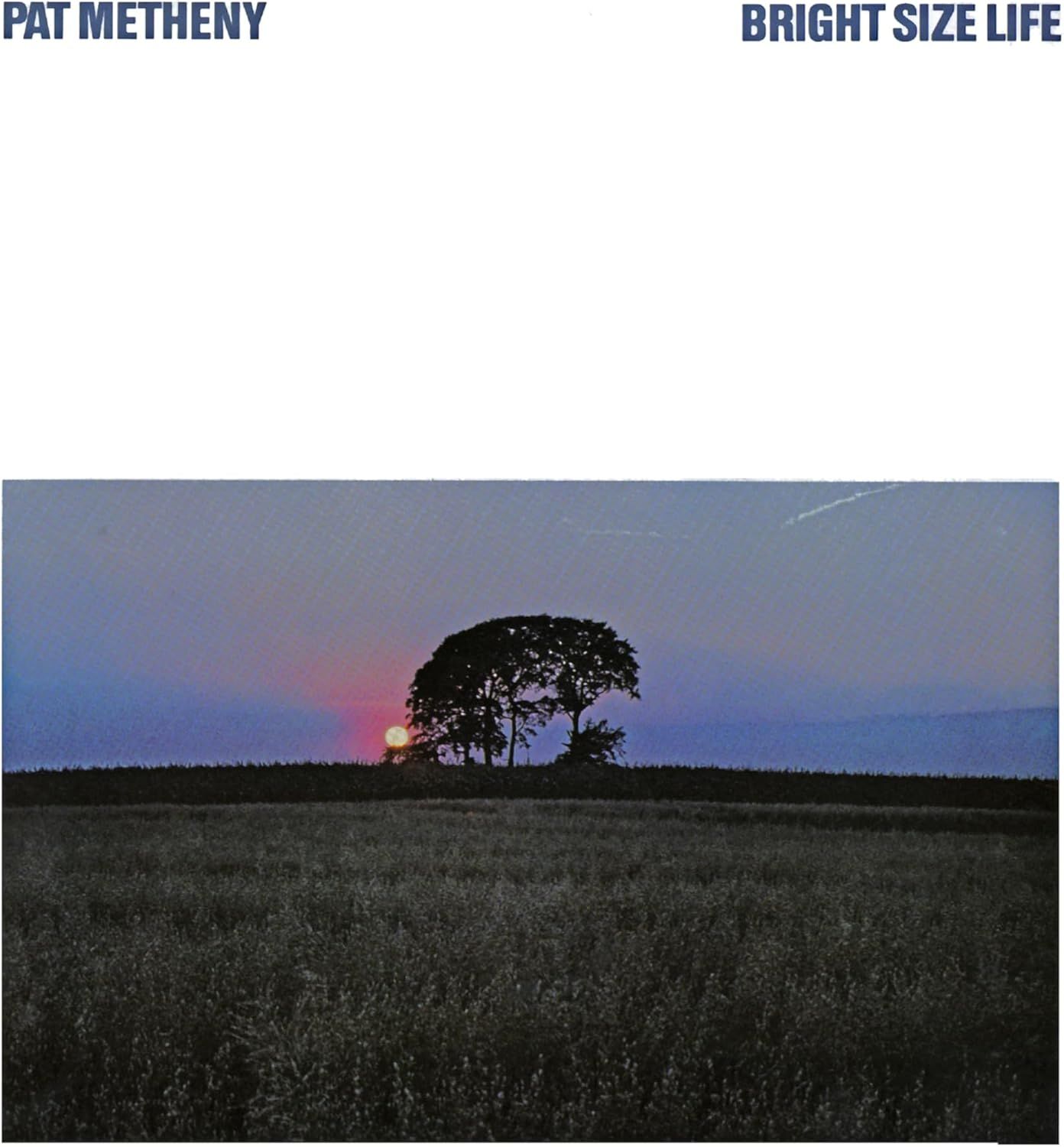 Pat Metheny - Bright Size Life