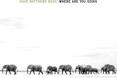 Dave Matthews Band - Where Are You Going: The Singles (2LP)