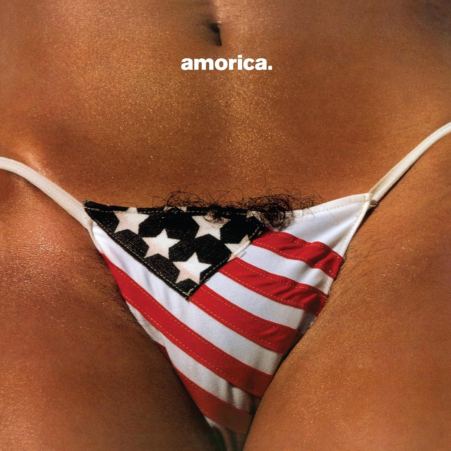 The Black Crowes - Amorica (2LP)