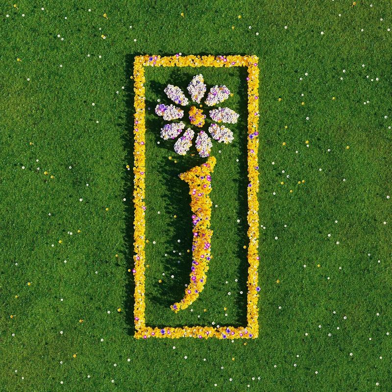 James - Nothing But Love (The Best Of James)  2LP