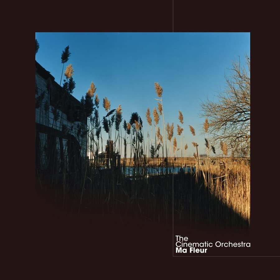 The Cinematic Orchestra - Ma Fleur (2LP)