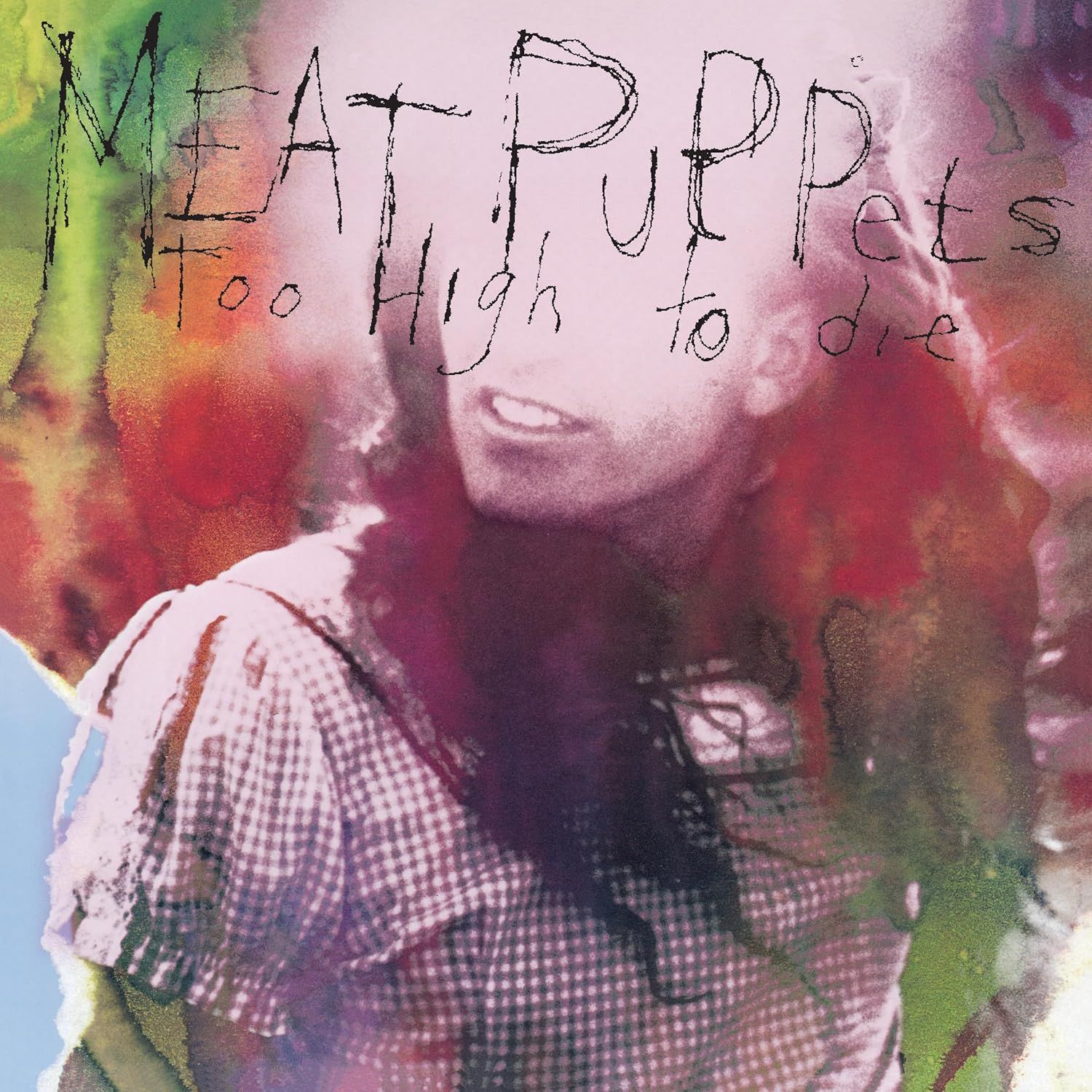 Meat Puppets - Too High To Die