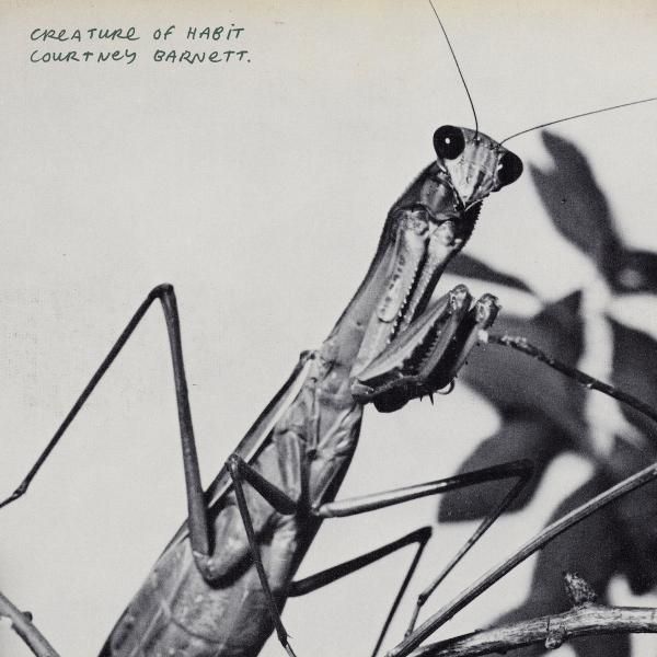 Courtney Barnett - Creature of Habit  (Indie Carmel Vinyl)