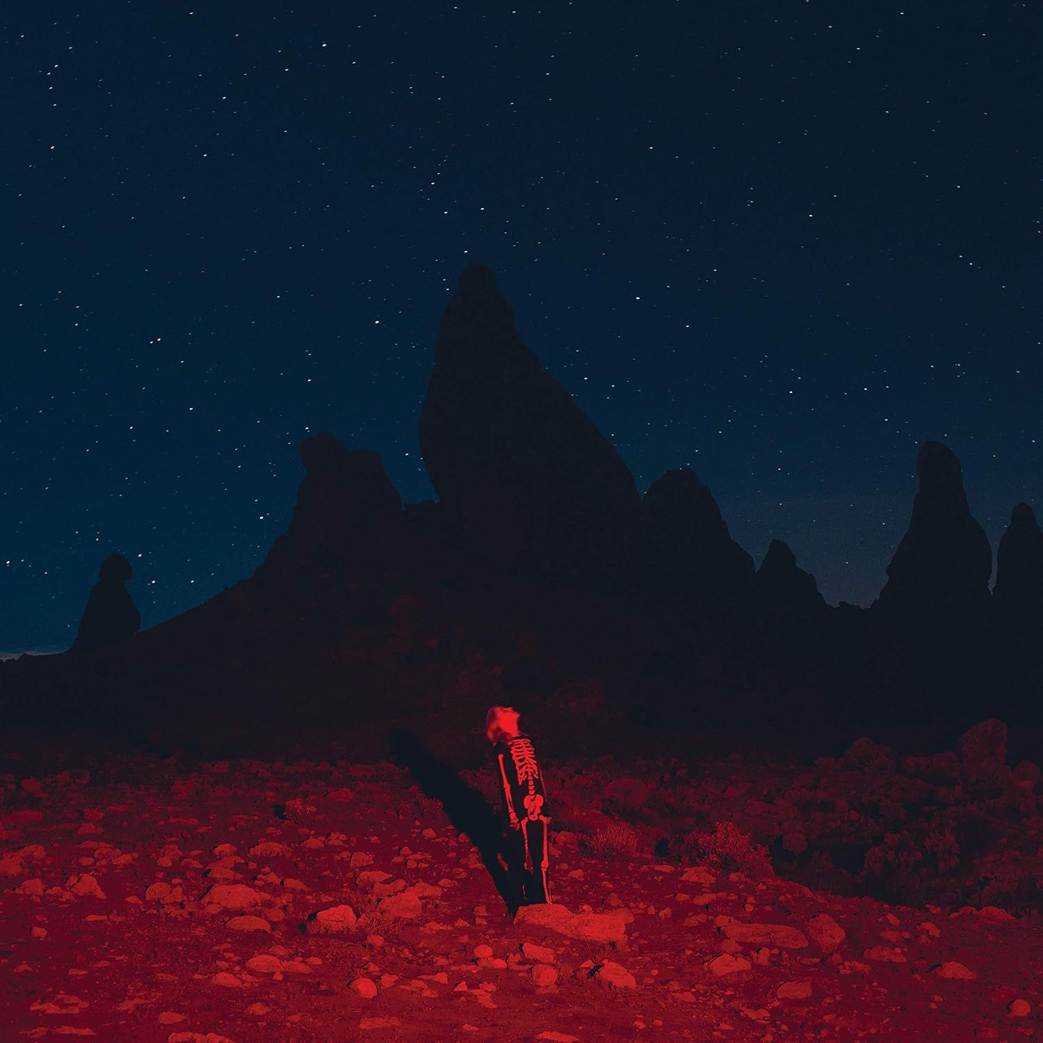 Phoebe Bridgers - Punisher (CD)