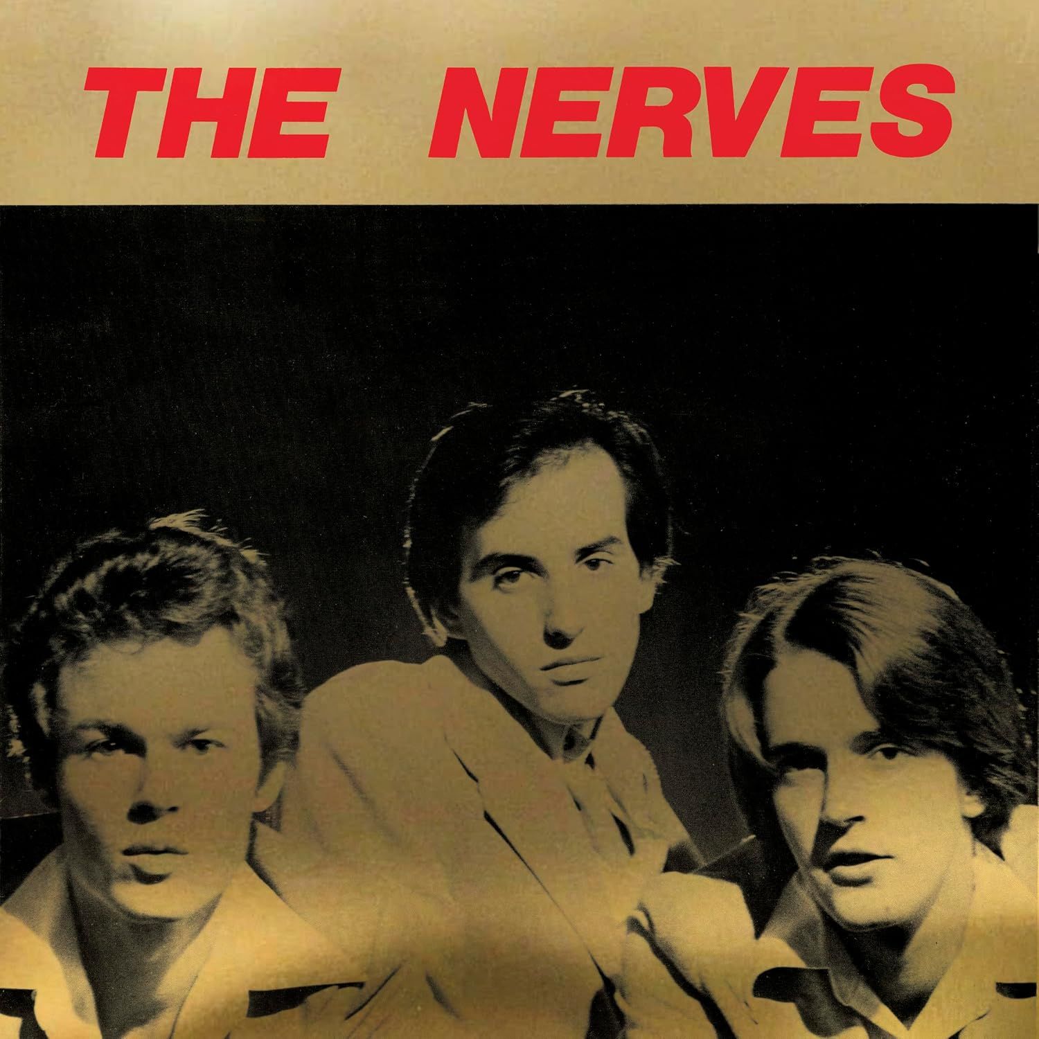 The Nerves - Best Collection (2LP)