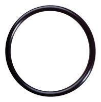 CBI 2&quot; Rubber O-Ring