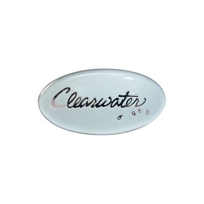 Pillow Insert - CLEARWATER