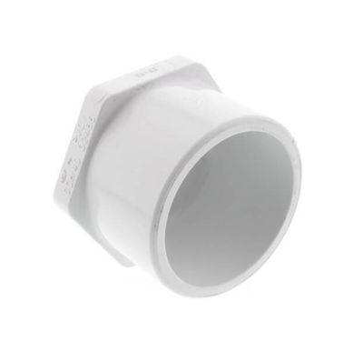 1" Plug