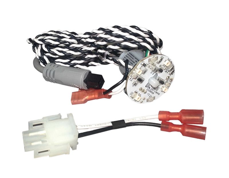 Sloan Main LED Light 10 Bulb Cluster
