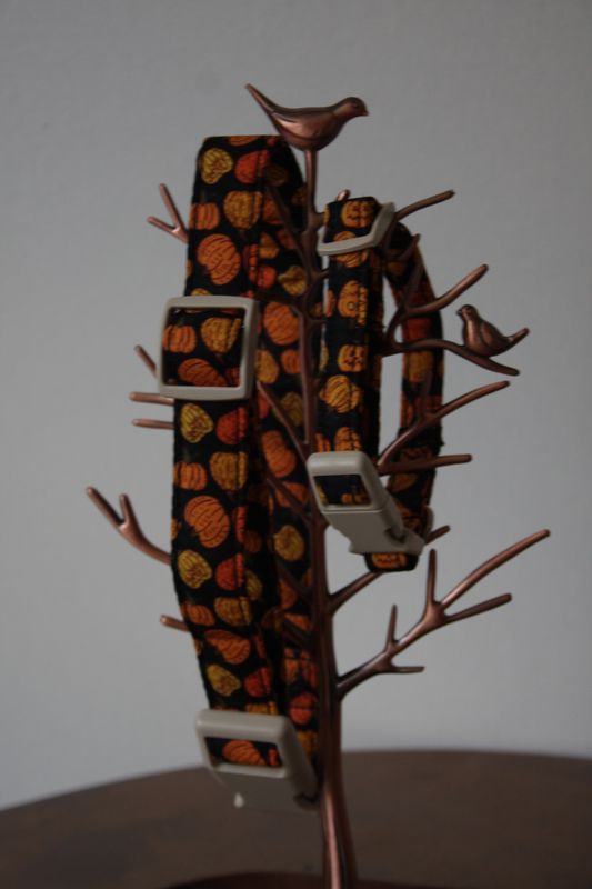 Pumpkin Patch Collar