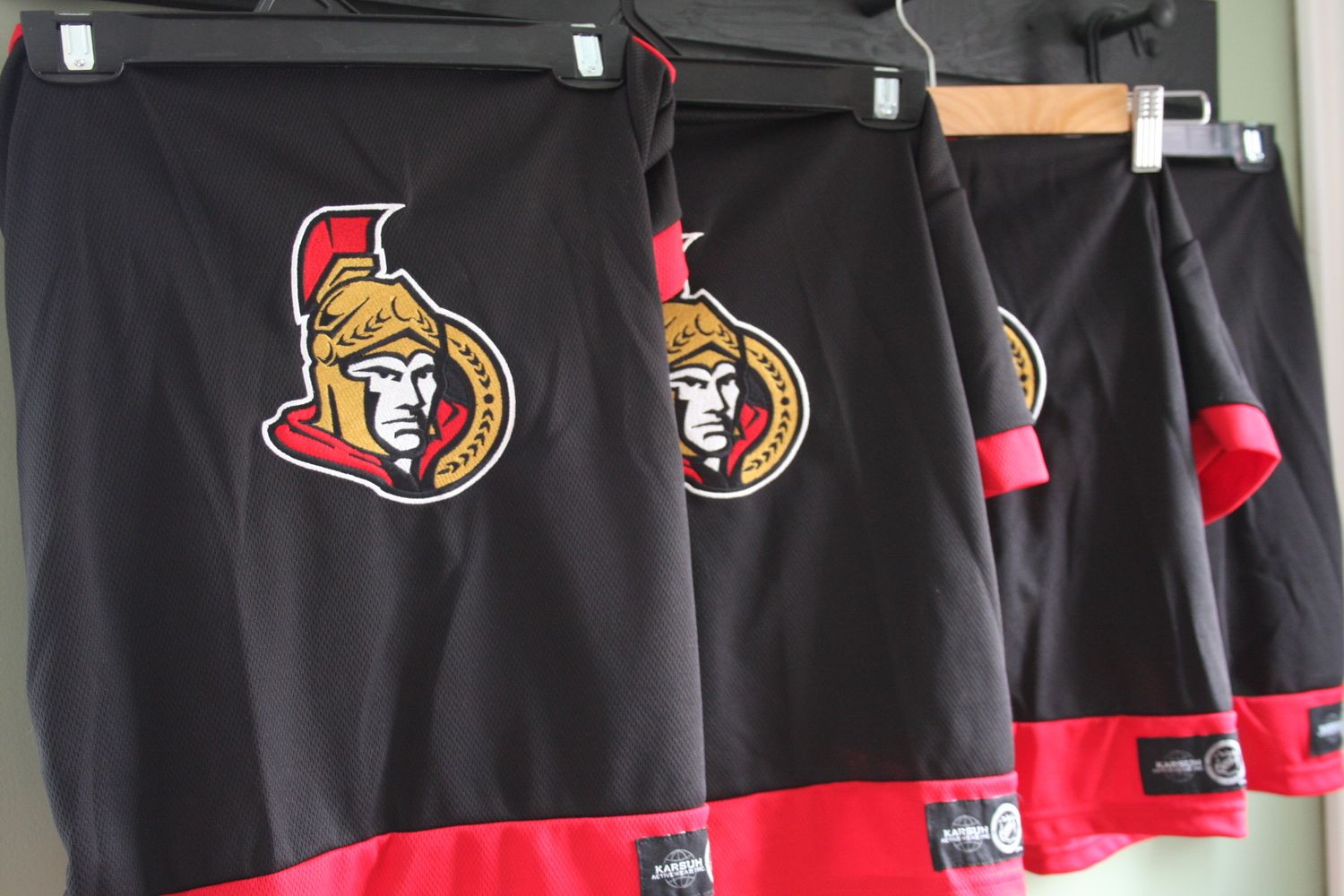 XL Senators Dog Jersey