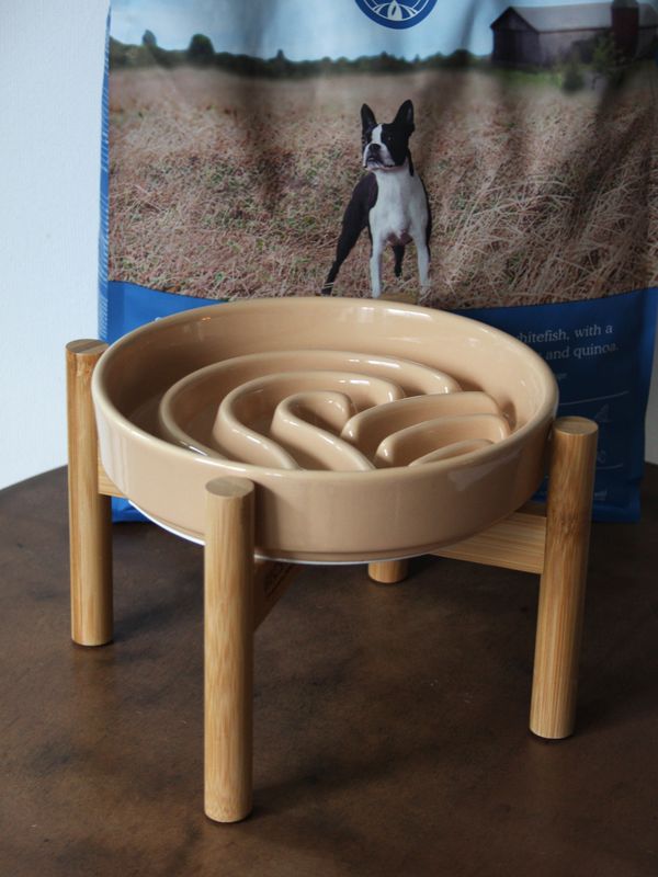 MEDIUM Raised Slow Feeder Dog Bowl