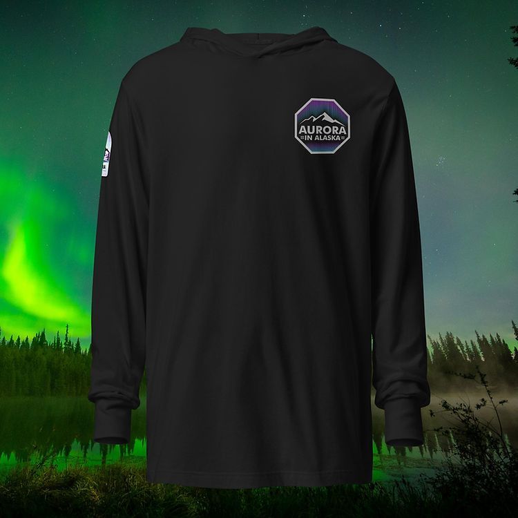 Hooded long-sleeve tee