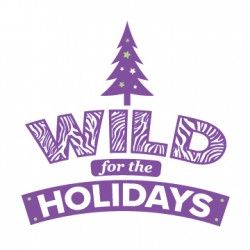 Stage Stars Dance and Acro &quot;Wild for the Holidays&quot; TOT Show (2023)