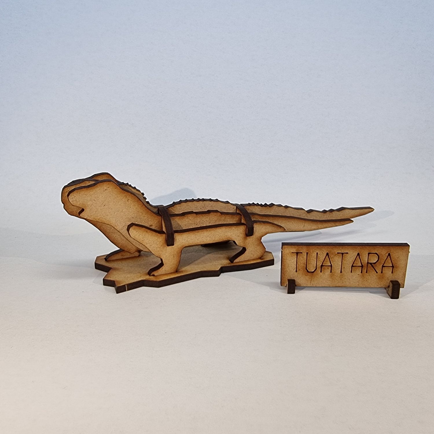 Tuatara