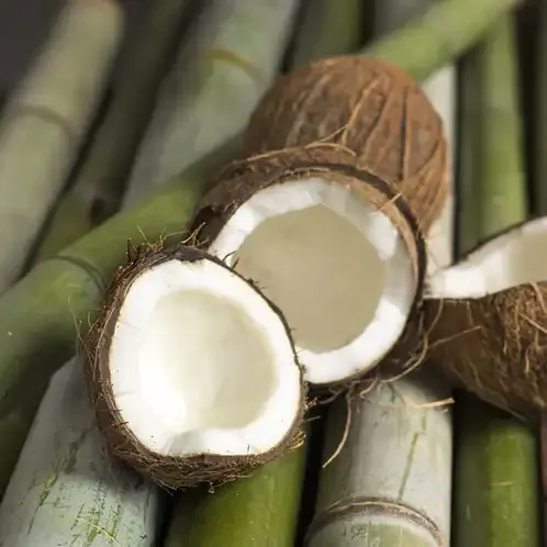 Bamboo Coconut