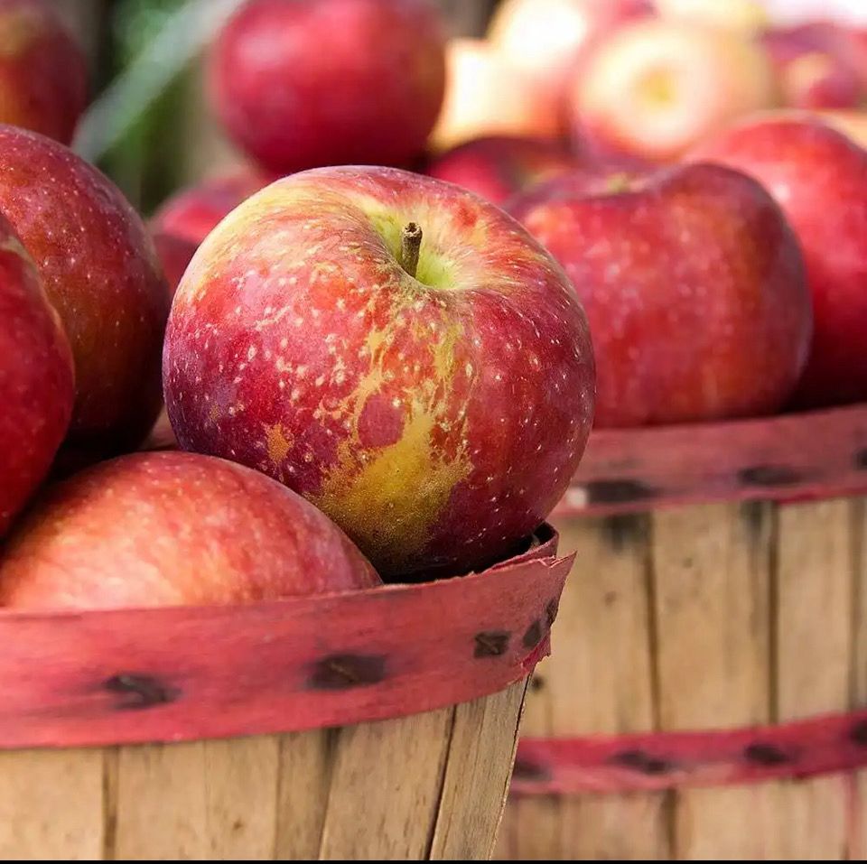 Apple Spice