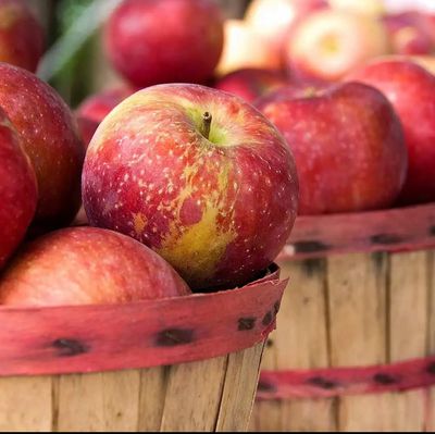 Apple Spice