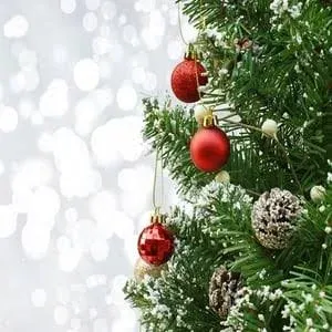 Christmas Pine