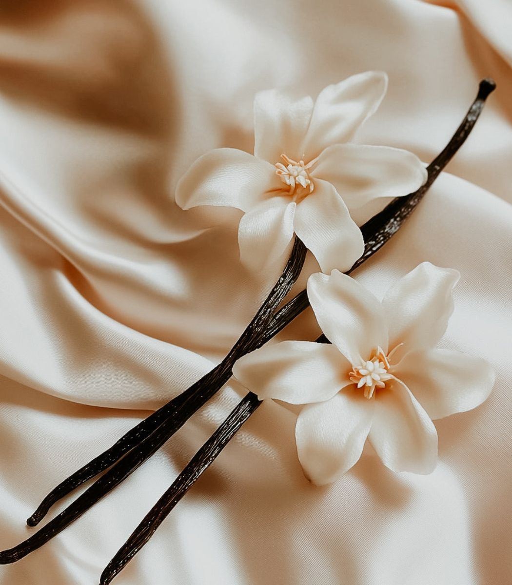 Vanilla Cashmere