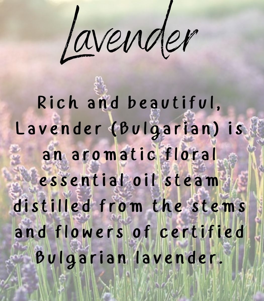 Lavender