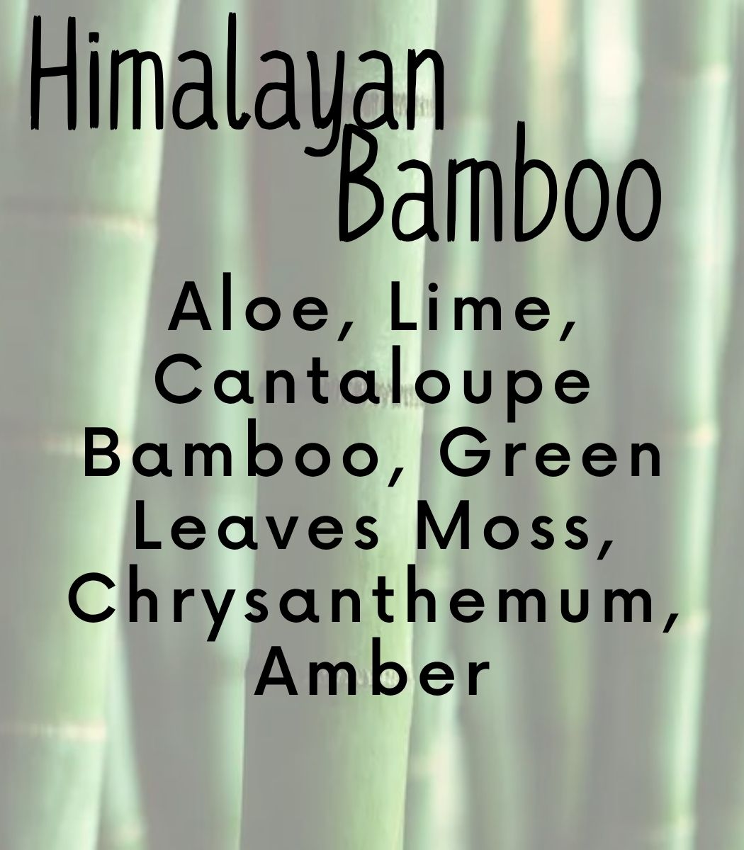 Himalayn Bamboo