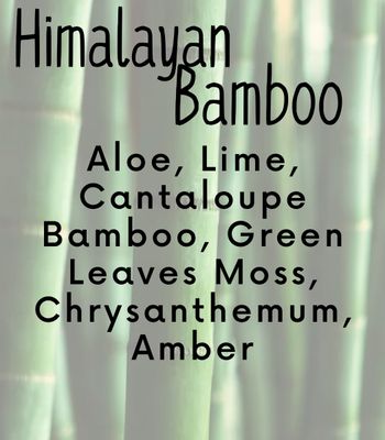 Himalayn Bamboo