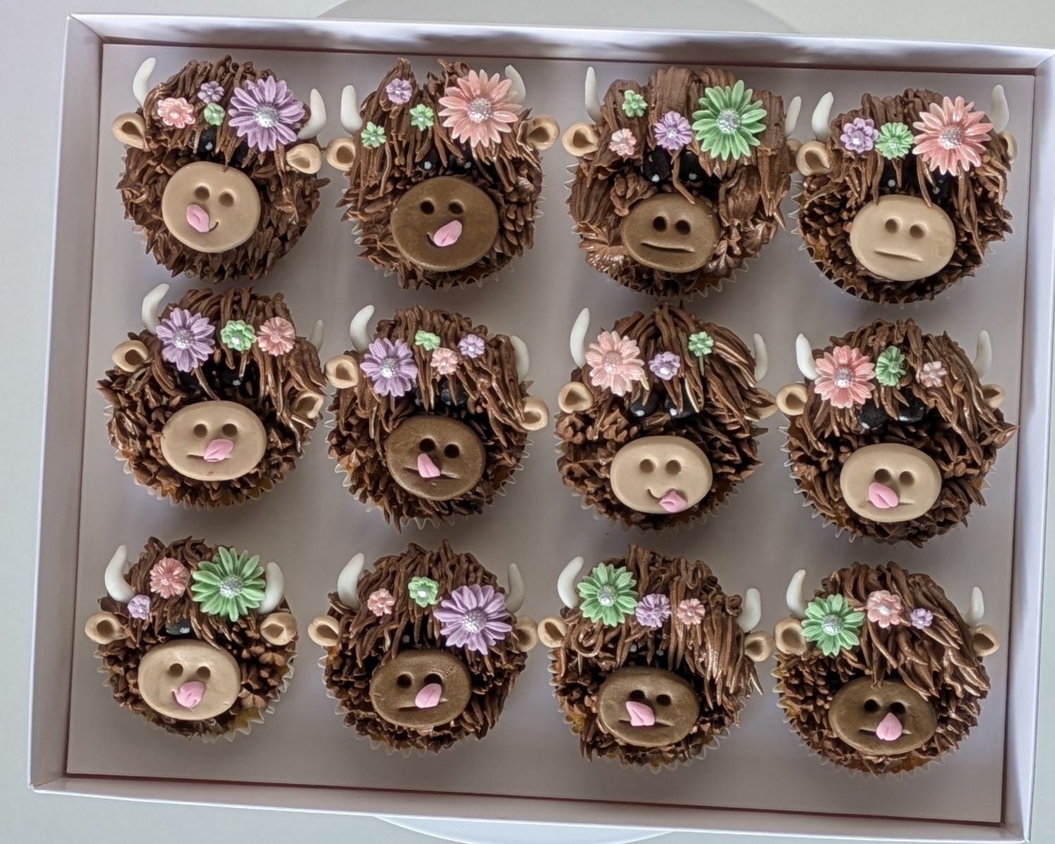 Highland Cow Cupcakes