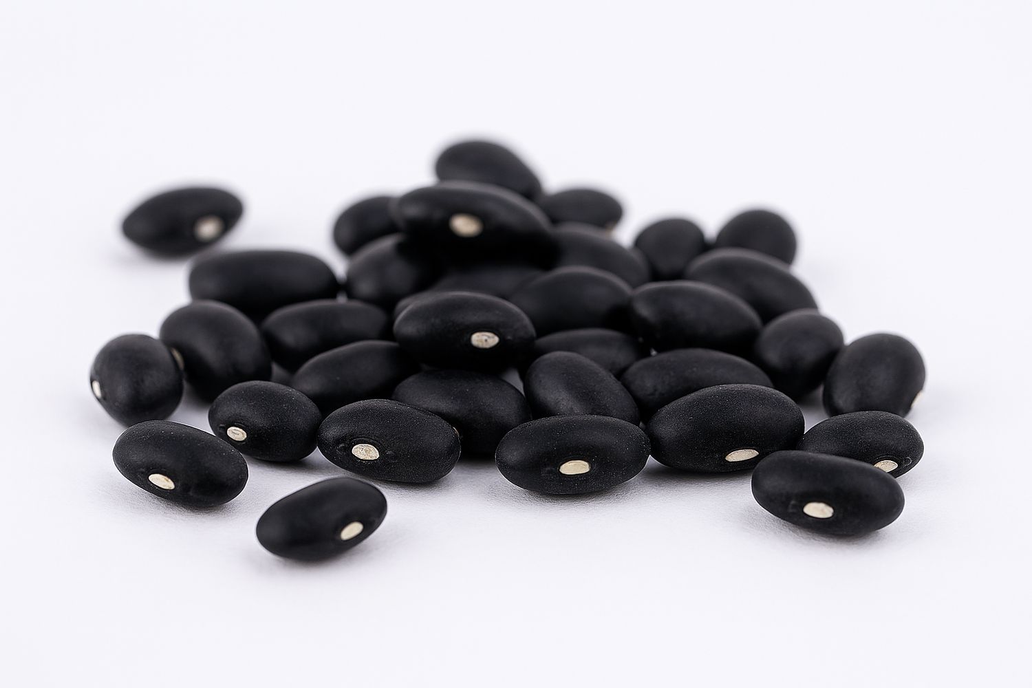Frijol Negro