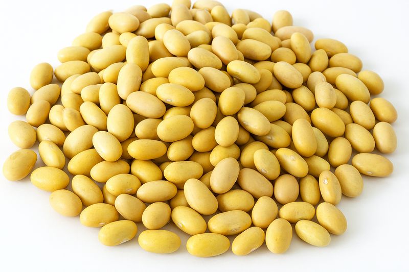 Peruvian Mayocoba Beans | Creamy, Versatile, and Nutritious