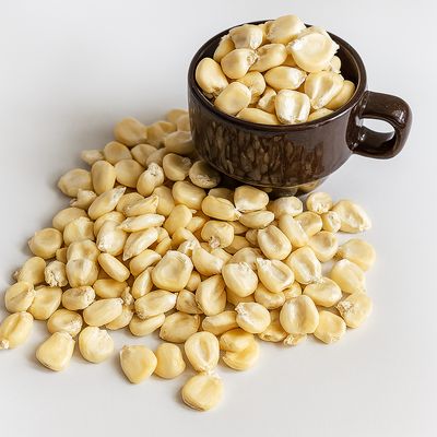 White Corn for Grinding | Whole Grain Ideal for Masa and Tortillas