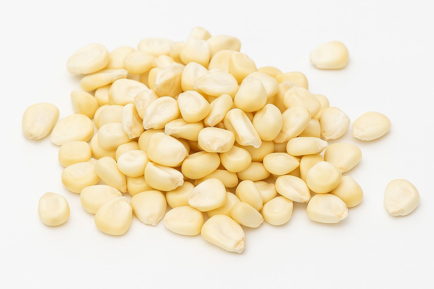 Peruvian Extra Corn | Giant Kernel for Roasting, Grilling, or Cooking