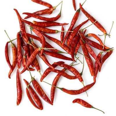 Chile Arbol Yahualica Mexicano